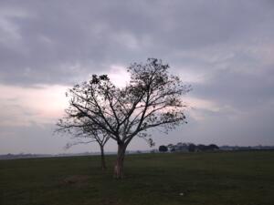 একদিন