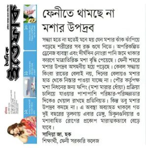 ফেনীতে থামছে না মশার উপদ্রব