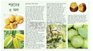 শরতের ৫ ফল